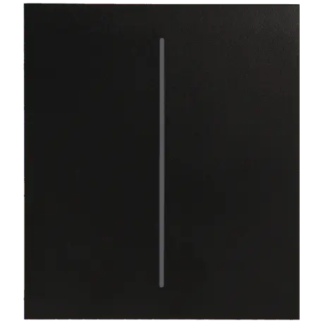 Double panneau d'interrupteurs central AJAX / Référence CENTERBUTTON-2G-B - TSA Distribution