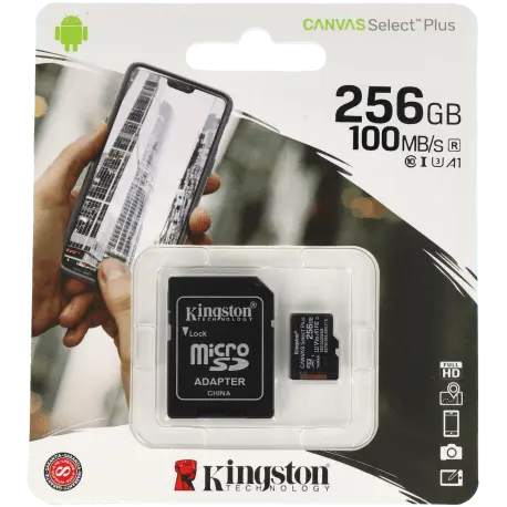 Carte sd KINGSTON 256 gb / Référence SD256MICRO - TSA Distribution