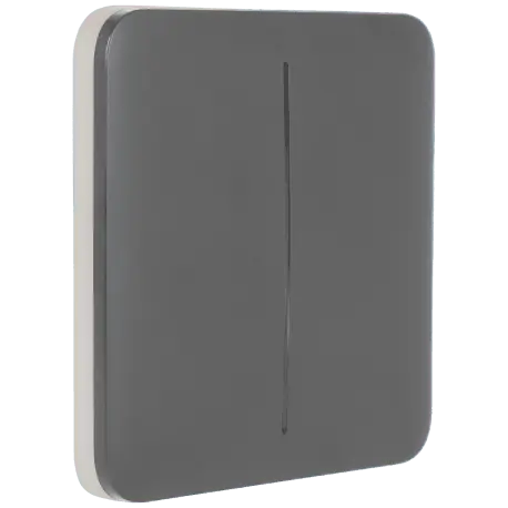 Panneau d'interrupteurs double AJAX / Référence SOLOBUTTON-2G-GRE - TSA Distribution