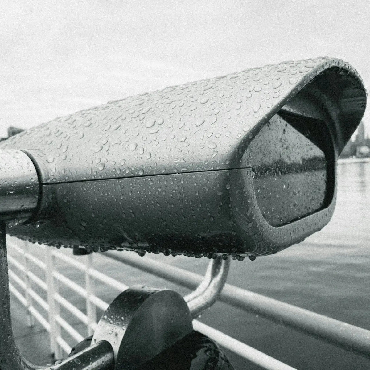 a black and white photo of a street light